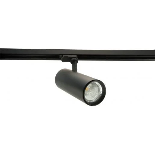 2026_06_02_1042897